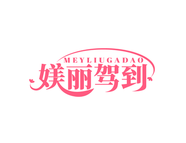 MEYLIUGADAO 媄丽驾到（第44类）