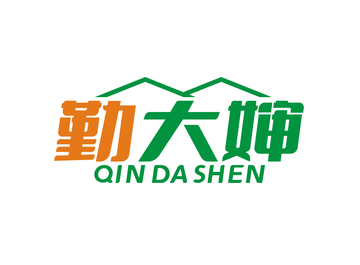 勤大婶QIN DA SHEN（第45类）