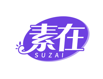 素在（第16类）